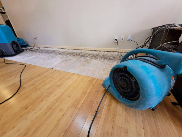 Professional Basement Flood Cleanup technician working in Holyoke, MA